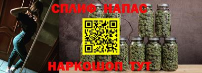прущие грибы Тверь