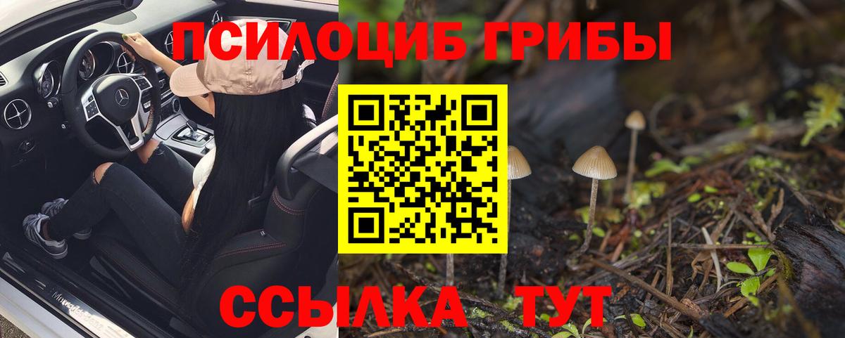купить наркоту  Псилоцибиновые грибы Cubensis  Вход с VPN  Надым 